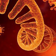 Image of the microscopic view of an infectious virus cell, RNA.