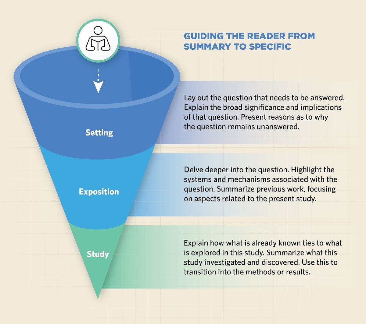 A three-step funnel explaining how the introduction guides the reader from summary to specific. The first phase should lay out the question that needs to be answered. The second phase should delve deeper into that question, and the final phase should tie what is already known with what is explored in this study. A three-step funnel explaining how the introduction guides the reader from summary to specific. The first phase should lay out the question that needs to be answered. The second phase should delve deeper into that question, and the final phase should tie what is already known with what is explored in this study.