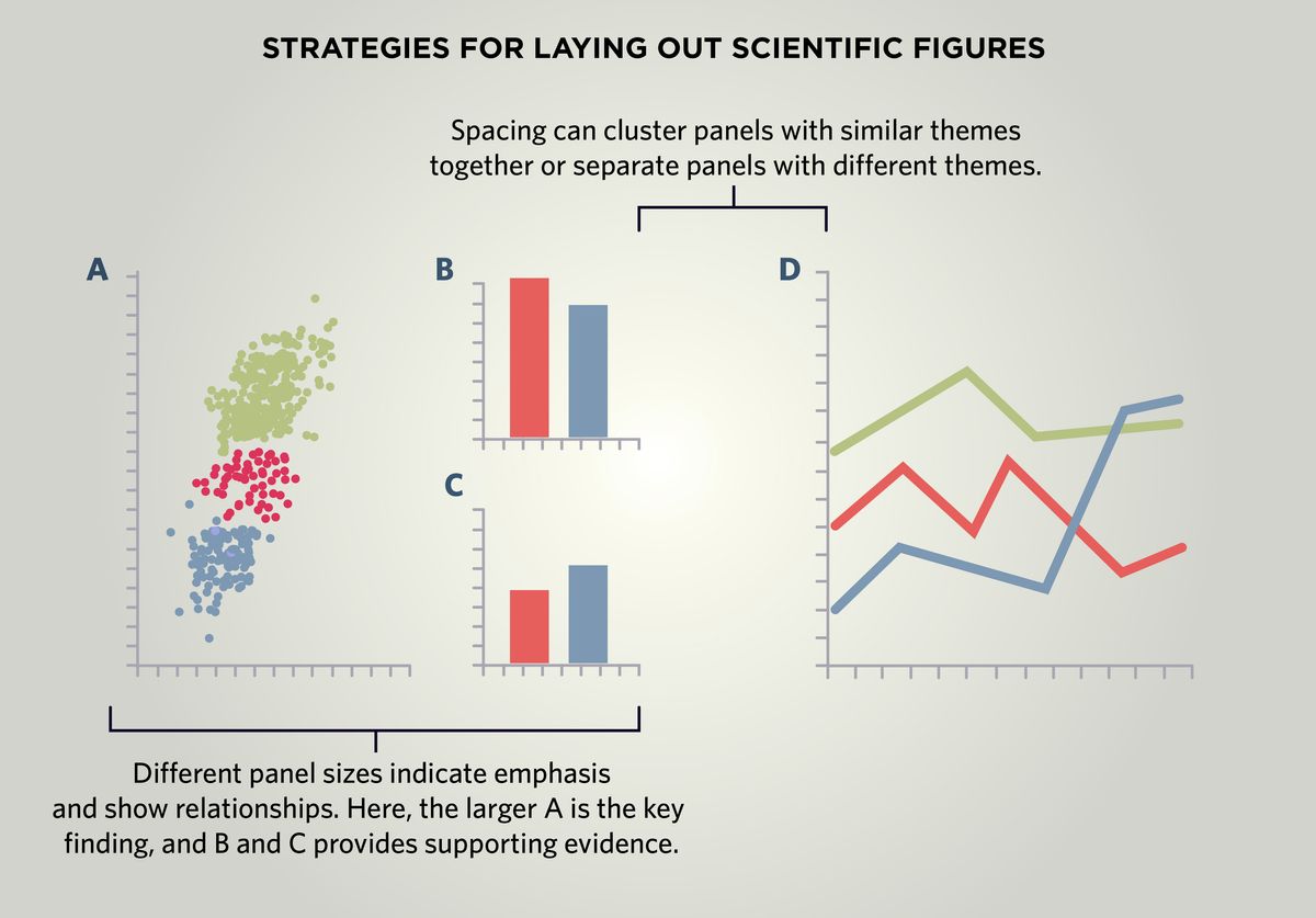 Strategies for Laying Out Scientific Figures. Different panel sizes indicate emphasis and show relationships. The larger panel A represents the key finding, while smaller panels B and C provide supporting evidence. Spacing can cluster panels with similar themes together or separate panels with different themes. Strategies for Laying Out Scientific Figures. Different panel sizes indicate emphasis and show relationships. The larger panel A represents the key finding, while smaller panels B and C provide supporting evidence. Spacing can cluster panels with similar themes together or separate panels with different themes.