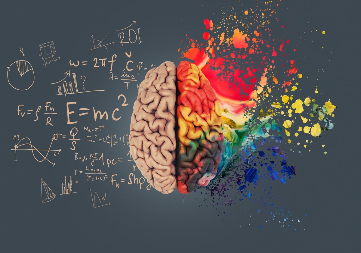 An image of a brain, with scientific elements on the left side and color splashing out on the right side. An image of a brain, with scientific elements on the left side and color splashing out on the right side.