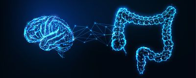 Image shows a brain and a digestive system, specifically the intestines, connected by nodes.