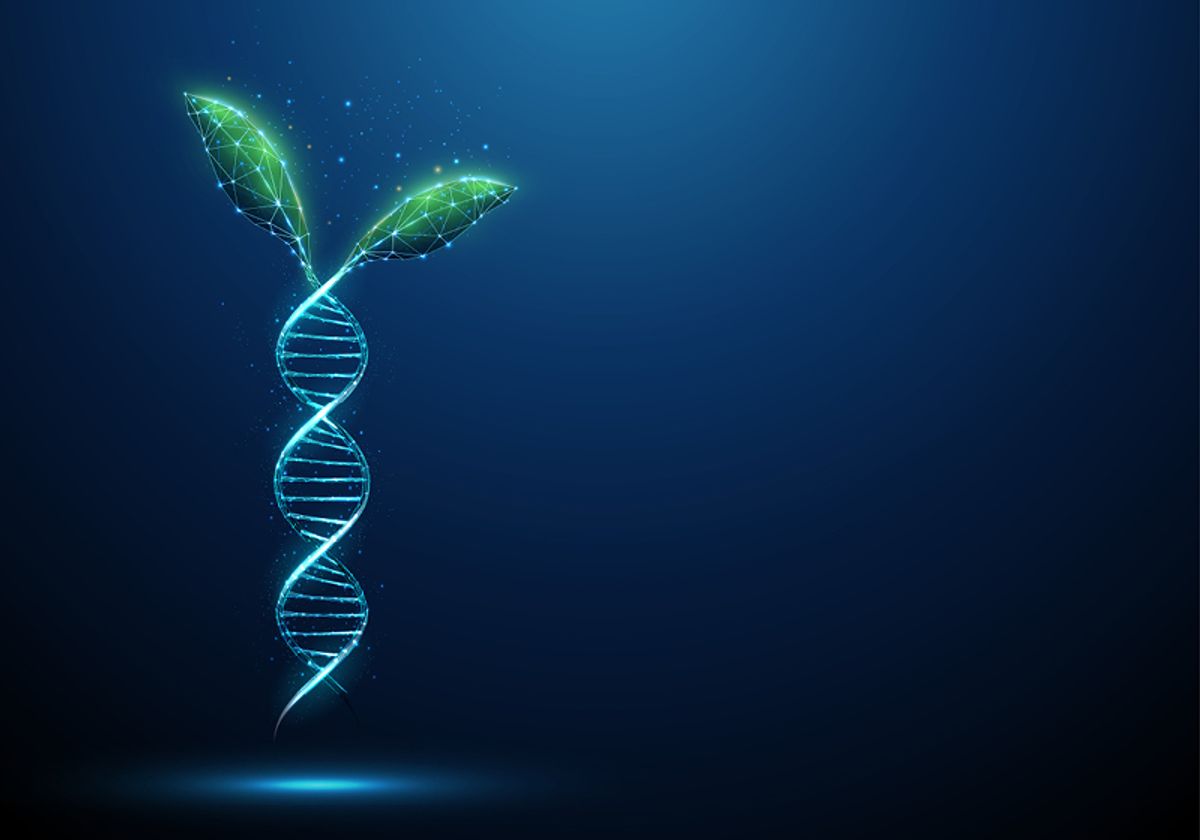 Green plant leafs growing from blue 3D DNA molecule helix. Green plant leafs growing from blue 3D DNA molecule helix.