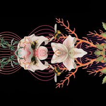 Modified from the cover of <em >The Sounds of Life</em>