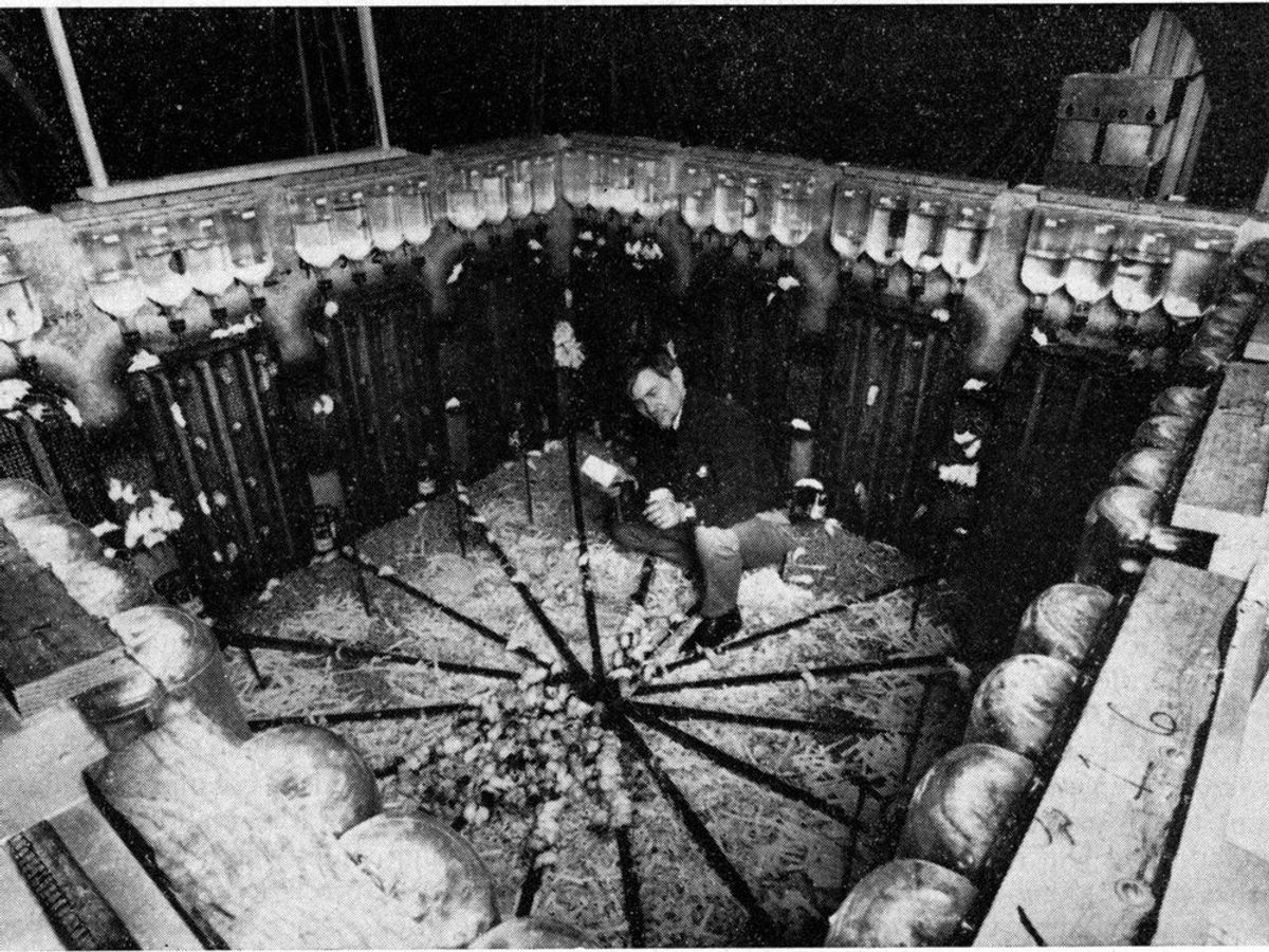 Photo of John Calhoun crouches within his rodent utopia-turned-dystopia Photo of John Calhoun crouches within his rodent utopia-turned-dystopia