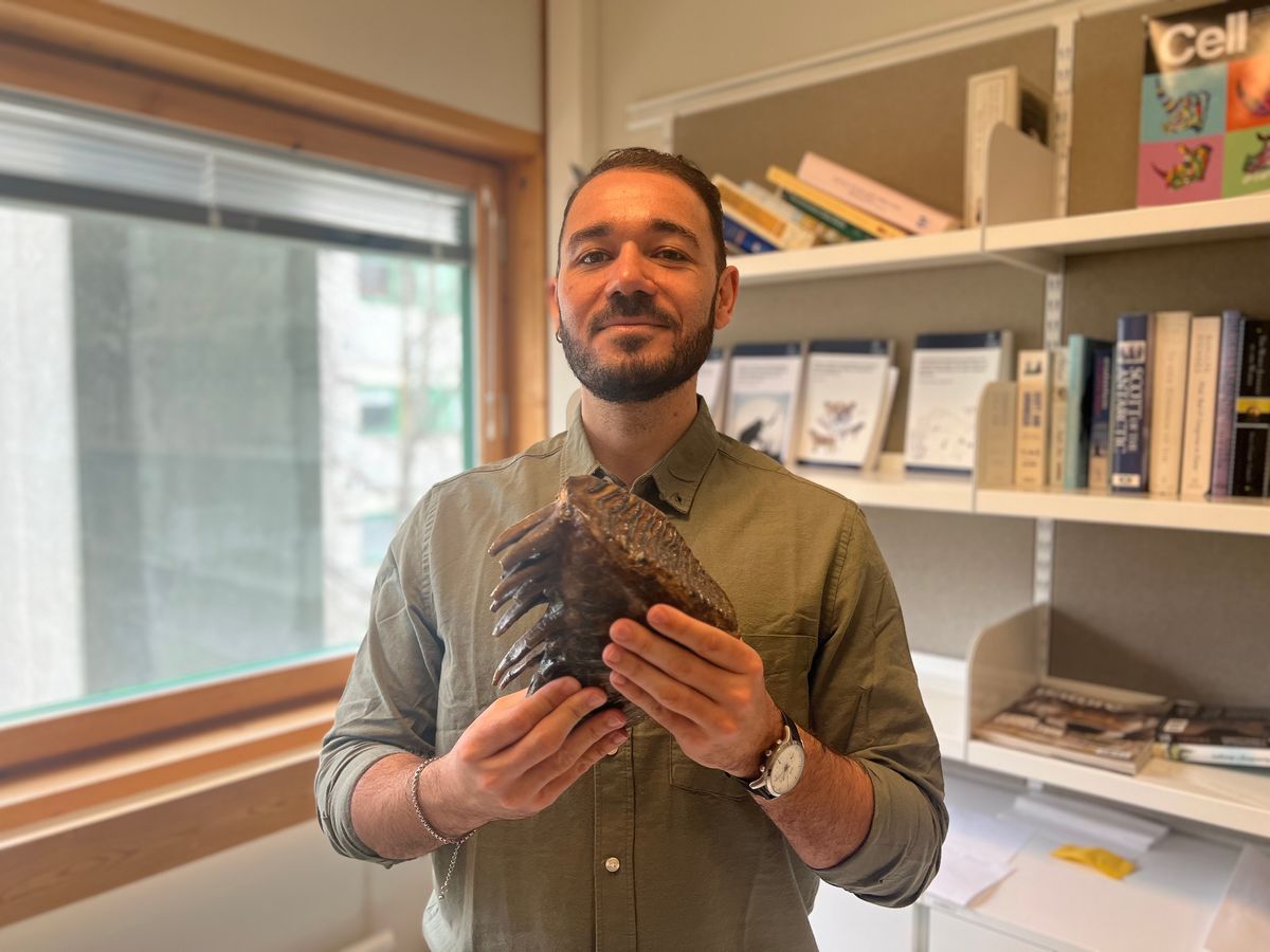 David Díez del Molino wears a button down shirt and holds a large brown mammoth tooth. David Díez del Molino wears a button down shirt and holds a large brown mammoth tooth.