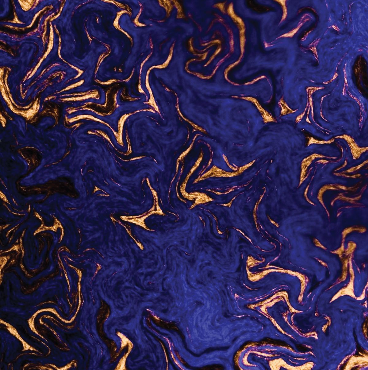 False colored mesoscopic image of two strains of <em >E. coli</em> expressing different fluorescent proteins False colored mesoscopic image of two strains of <em >E. coli</em> expressing different fluorescent proteins