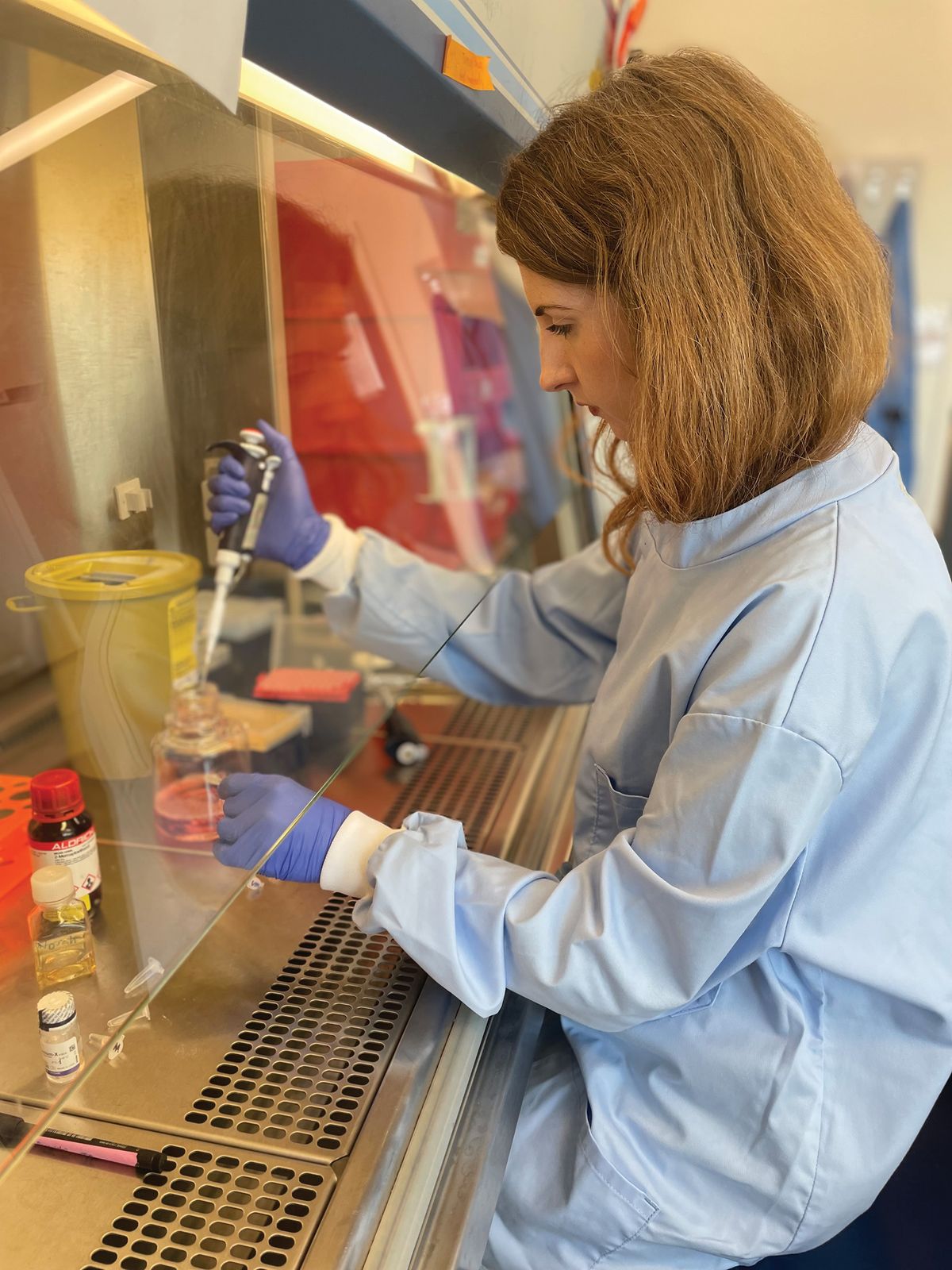 Norah Fogarty pipetting reagents in a lab hood. Norah Fogarty pipetting reagents in a lab hood.