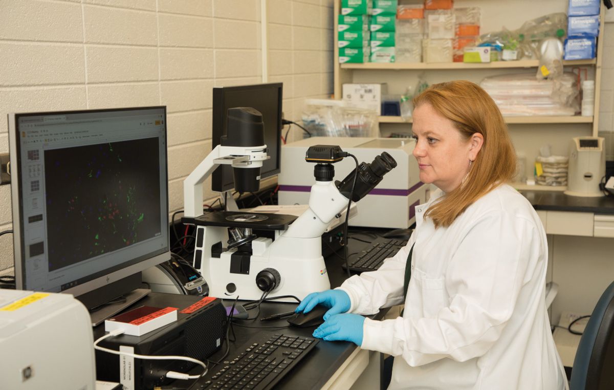 Julie Moreno wears blue gloves and a white coat while working at the microscope. Julie Moreno wears blue gloves and a white coat while working at the microscope.