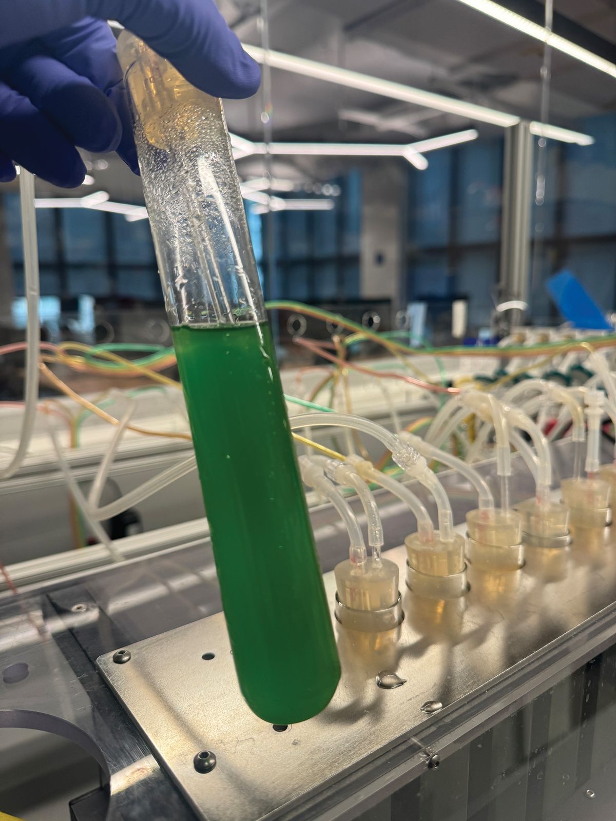 A test tube of bright green liquid. A test tube of bright green liquid.