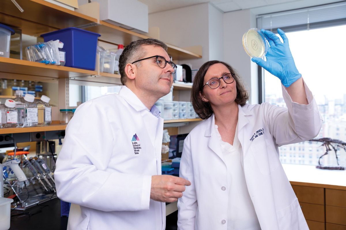 Thomas Zwaka and Marion Dejosez wear white lab coats and examine a petri dish. Thomas Zwaka and Marion Dejosez wear white lab coats and examine a petri dish.