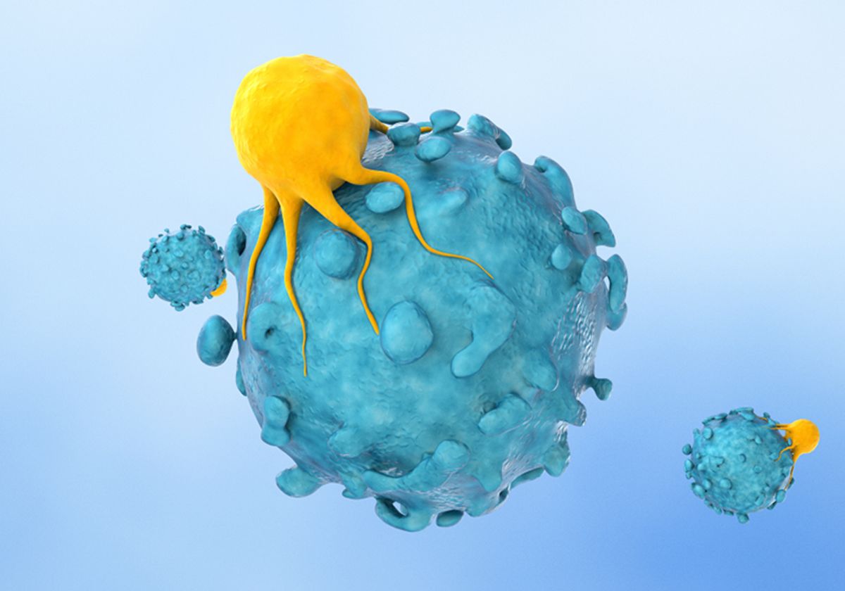 Illustration showing a yellow T cell attached to a blue cancer cell. Illustration showing a yellow T cell attached to a blue cancer cell.