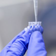 Optimizing PCR: Proven Tips and Troubleshooting Tricks