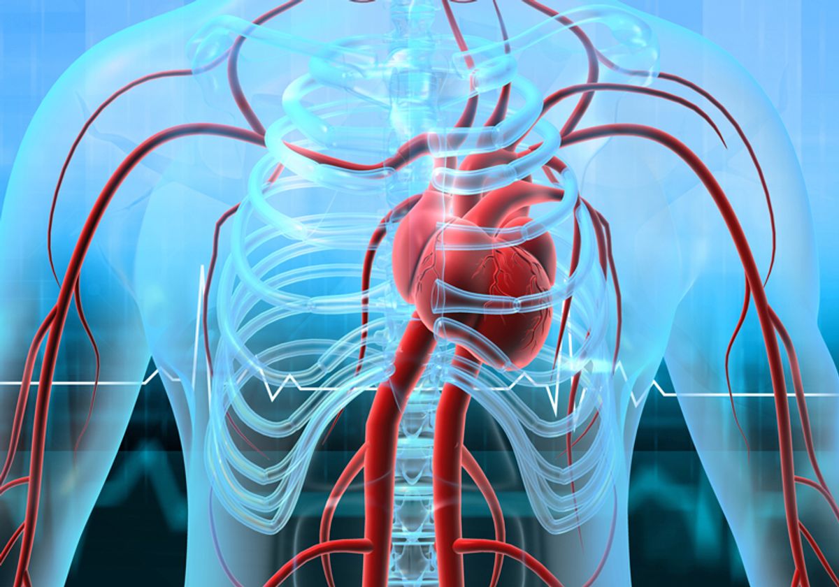 An interior view of a human upper body, showing the heart, ribcage, and blood vessels. An interior view of a human upper body, showing the heart, ribcage, and blood vessels.