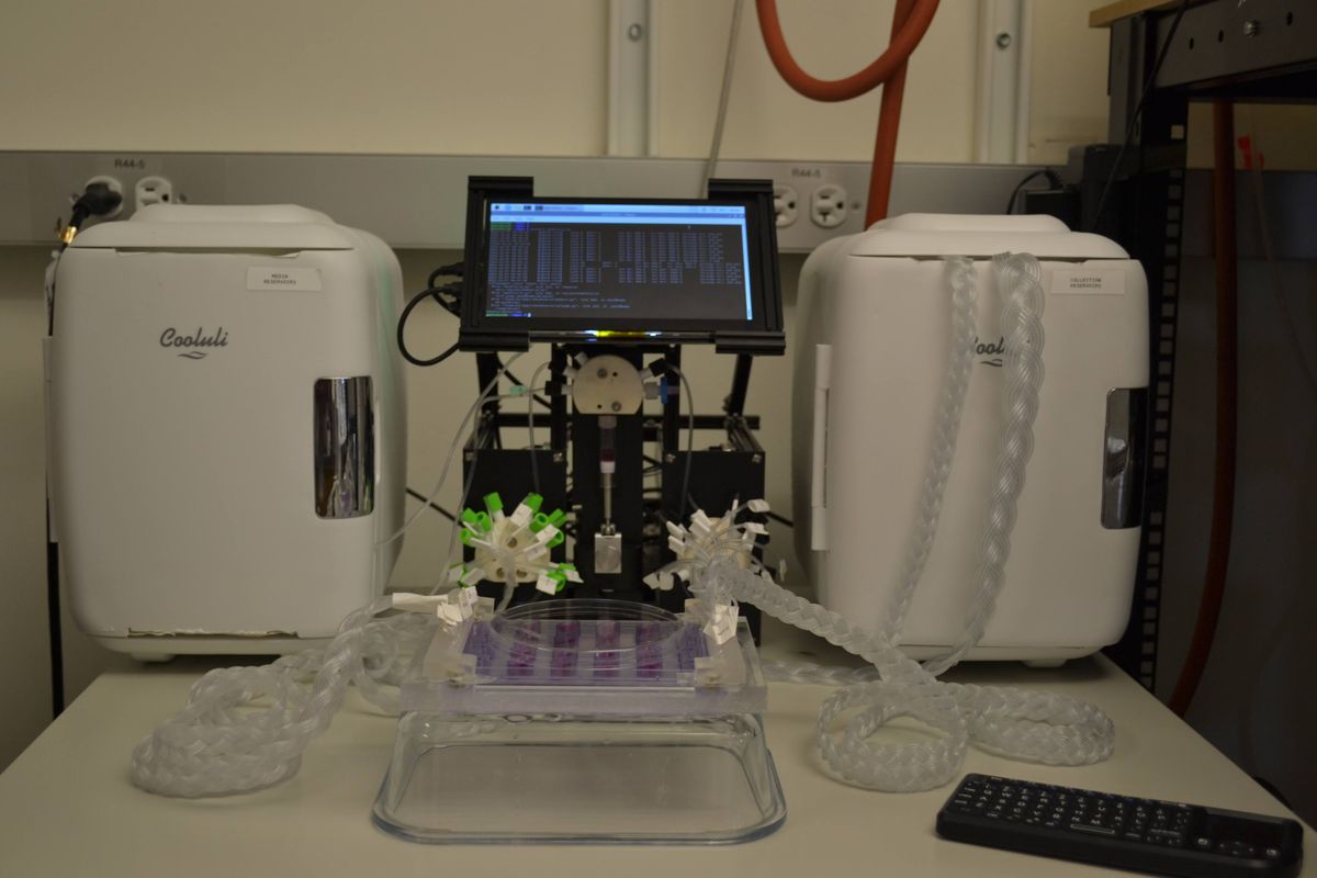 A microfluidic system connected to a multi-well culture dish through tubing and machinery. A microfluidic system connected to a multi-well culture dish through tubing and machinery.