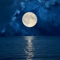moon, lunar, woman, biology, reproduction, fertility, menstrual cycle, menstruation, menses, period, synchronization