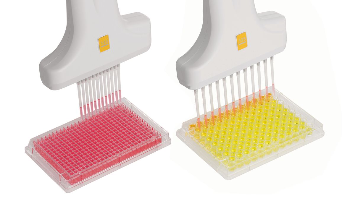 A photo of two VOYAGER pipettes transferring samples into a 96-well and 384-well microplate. A photo of two VOYAGER pipettes transferring samples into a 96-well and 384-well microplate.