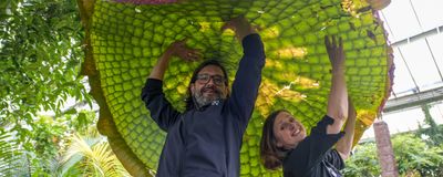 Two researchers hold up waterlily