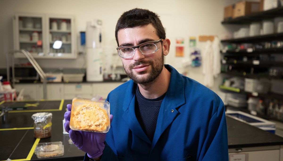 Photo of Vayu Hill-Maini in a blue lab coat holding a Neurospora mold patty. Photo of Vayu Hill-Maini in a blue lab coat holding a Neurospora mold patty.