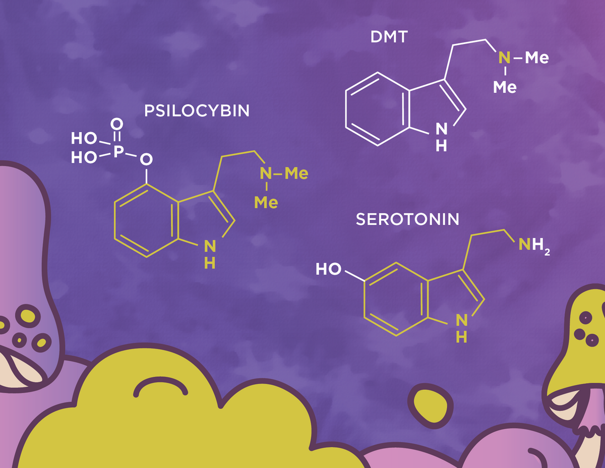 Chemical structures of DMT, Psilocybin, Serotonin Chemical structures of DMT, Psilocybin, Serotonin
